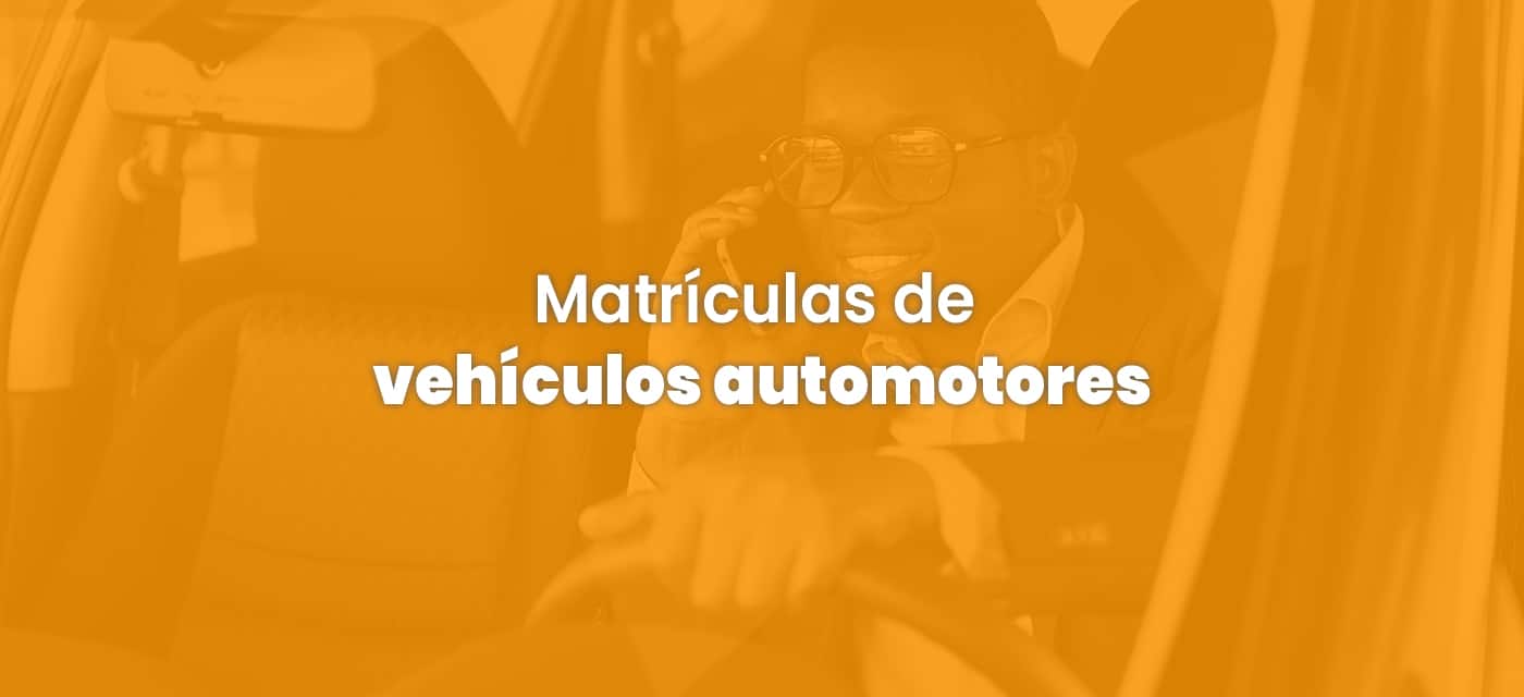 automoteres Matricula vehiculos particulares la jagua de ibirico sertti