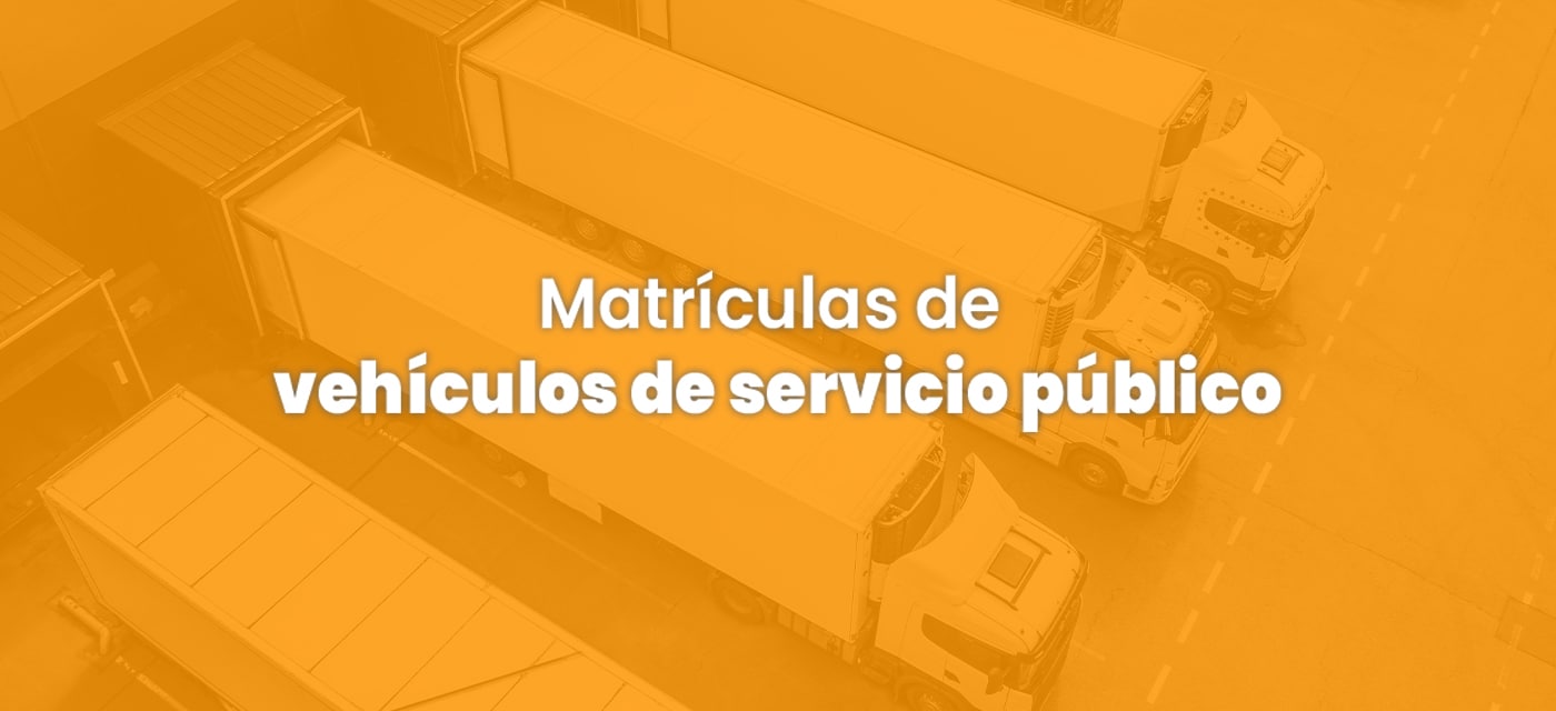 matriculassertti Matricula vehiculos particulares la jagua de ibirico sertti